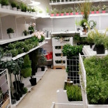 Ikea Plaisir