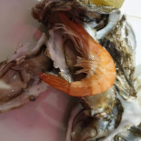 Planet Wok