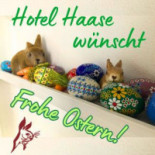 Haase Ohg