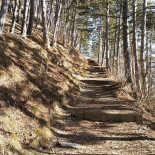 Wilhelmshöhe
