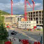 Schwarzer Bär Jena