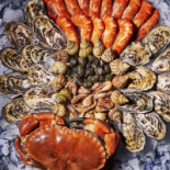 Oyster Ibiza