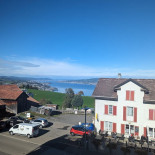 Feld