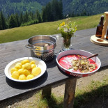 Alp Wildegg