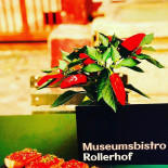 Museumsbistro Rollerhof