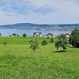 Feld