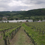 Wachauerstube Loiben
