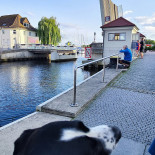 Sir Henry Das Bistro Boot Im Hafen