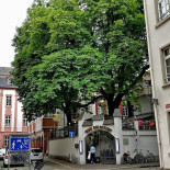 Zum Goldstein