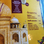 Taj Mahal Nantes Indian Pakistanais