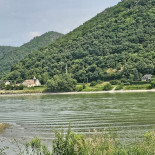 Heinzle