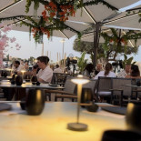 Bonsai Ibiza