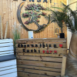 Bonsai Ibiza
