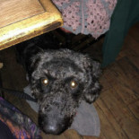 The George And Dragon