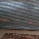 Somiatruites