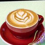 Java Nation