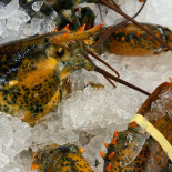 Bahia Honda Fish Market