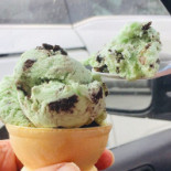 Bert Rocky's Cream Co