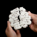 Crumbl Cookies Ogden