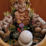 Lucky Elephant Thai Cuisine