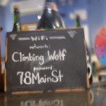 Climbing Wolf