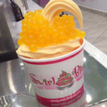 Swirl Bliss Frozen Yogurt