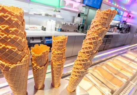 Florida Eis Green Café The Ocean
