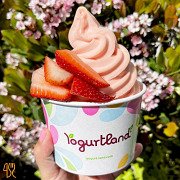 Yogurtland Montebello