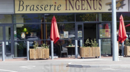 Brasserie Ingenus