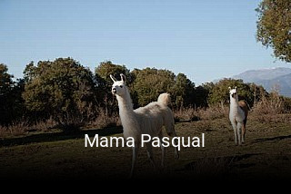 Mama Pasqual réservation