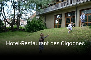 Hotel-Restaurant des Cigognes réservation en ligne